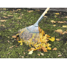 Kovové hrábě s dřevěnou násadou při shrabování podzimního listí na trávníku