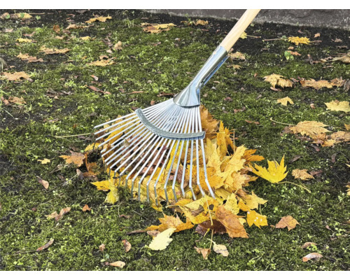 Kovové hrábě s dřevěnou násadou při shrabování podzimního listí na trávníku