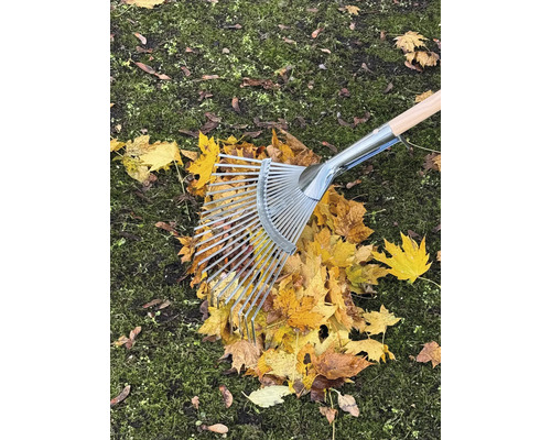 Listí se shrabuje kovovými a dřevěnými hráběmi na trávníku.