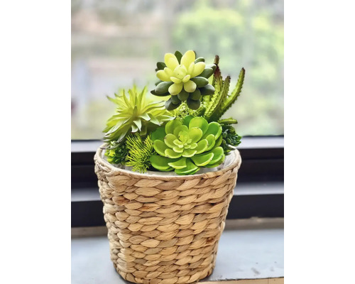 Sukulentní aranžmá v pleteném košíku