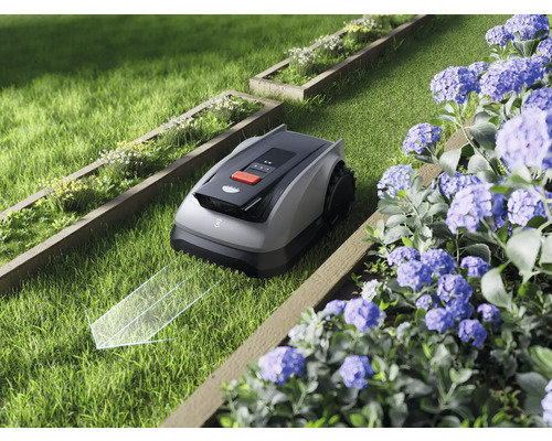 Robotická sekačka na trávu v zahradě s květinovými záhony a svěží trávou