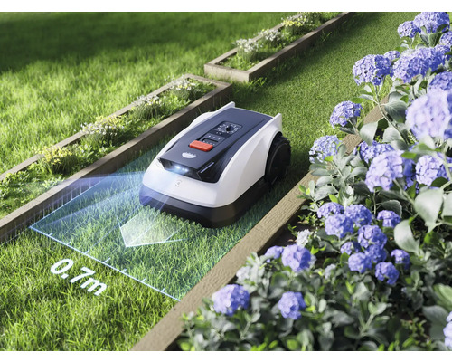 Robotická sekačka na trávníku s květinovými záhony