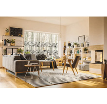 Obývací pokoj s pohovkou, policemi, oknem a pruhovaným kobercem