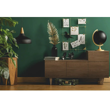 Obývací pokoj s komodou, dekorací a pokojovou rostlinou pro útulnou atmosféru