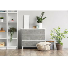 Komoda se třemi zásuvkami, regál a pokojové rostliny ve světlé místnosti.