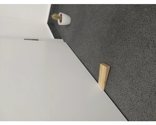 Interiérové dveře se zarážkou a kaktusem v květináči