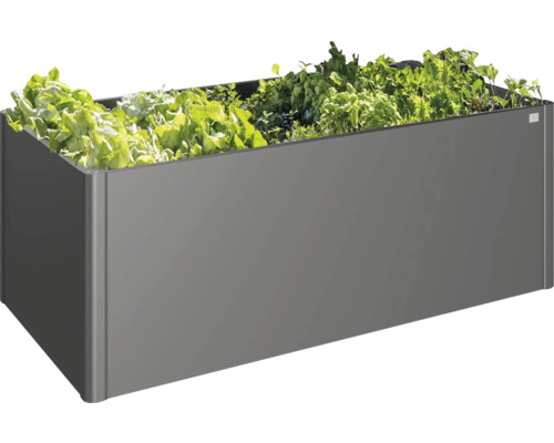 Šedý truhlík s různými rostlinami