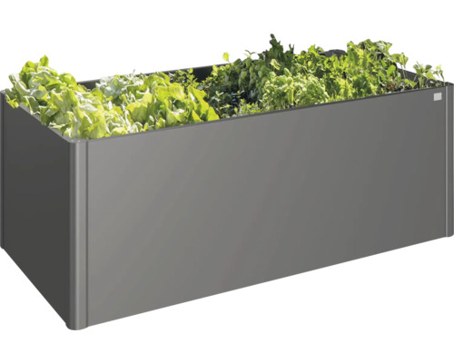 Šedý truhlík na salát.