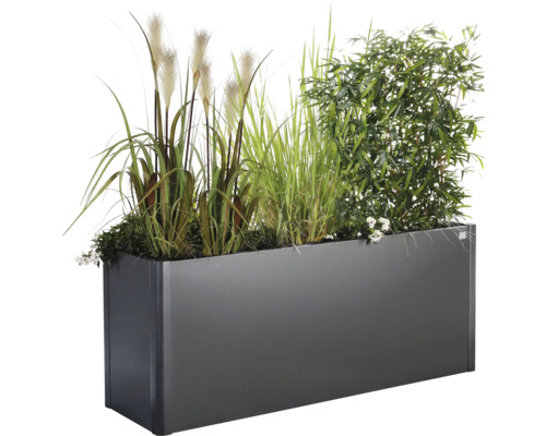 Obdélníkový květináč s různými travinami a rostlinami