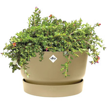 Rostlina v květináči Elho s podšálkem