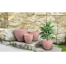 Květináče různých velikostí před kamennou zdí