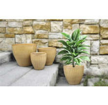 Uspořádání čtyř květináčů na kamenných schodech s rostlinou v jedné z nádob.