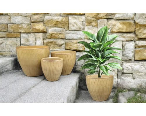 Uspořádání čtyř květináčů na kamenných schodech s rostlinou v jedné z nádob.