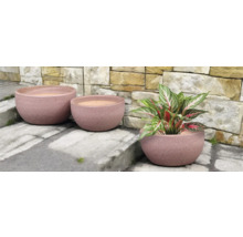 Tři kulaté hliněné květináče různých velikostí s rostlinou