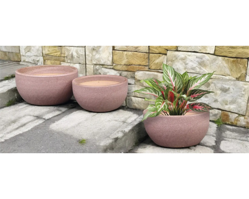 Tři kulaté hliněné květináče různých velikostí s rostlinou