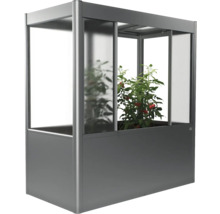 Zvýšený záhon se skleníkovým nástavcem a rostlinou rajčete