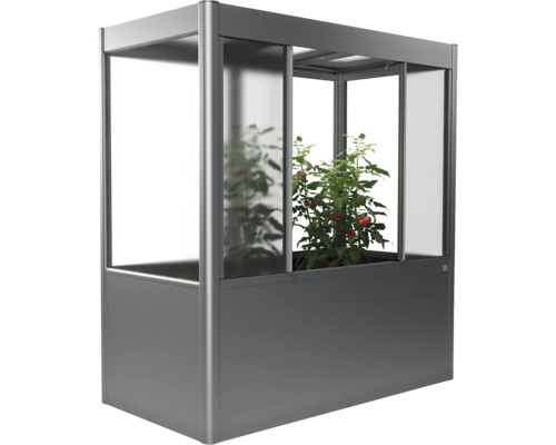 Zvýšený záhon se skleníkovým nástavcem a rostlinou rajčete