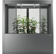 Skleník s rostlinami