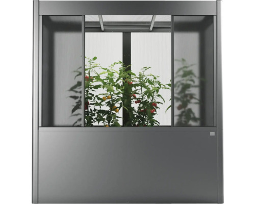 Skleník s rostlinami