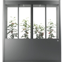 Skleník s rostlinami