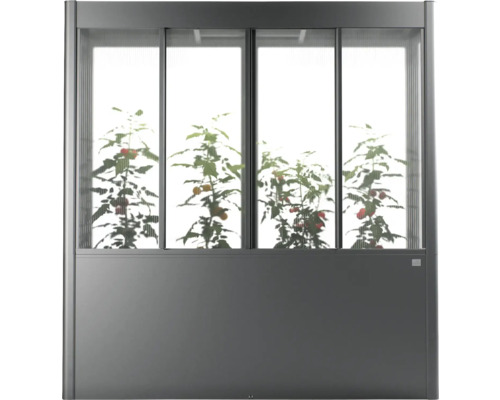 Skleník s rostlinami