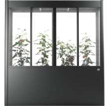 Skleník s rostlinami