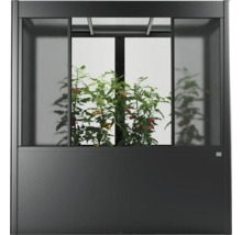 Zvýšený záhon se skleníkovým nástavcem a rostlinami rajčat