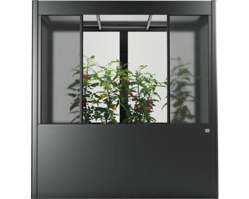 Zvýšený záhon se skleníkovým nástavcem a rostlinami rajčat