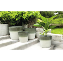 Květináče různých velikostí na schodech ve venkovním prostředí.