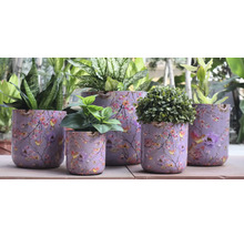 Květináče s květinovým vzorem a různými rostlinami