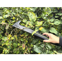 Osoba drží pilku na větve ve stromě.