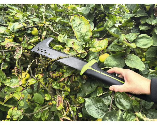 Osoba drží pilku na větve ve stromě.