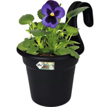 Květináč s fialkou a závěsným zařízením