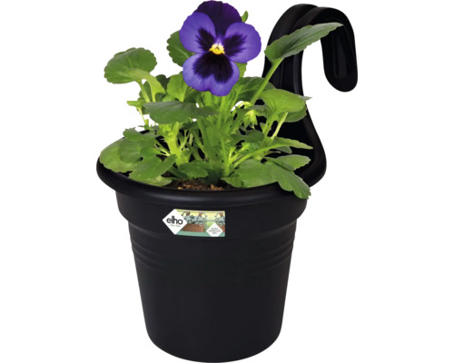 Květináč s fialkou a závěsným zařízením