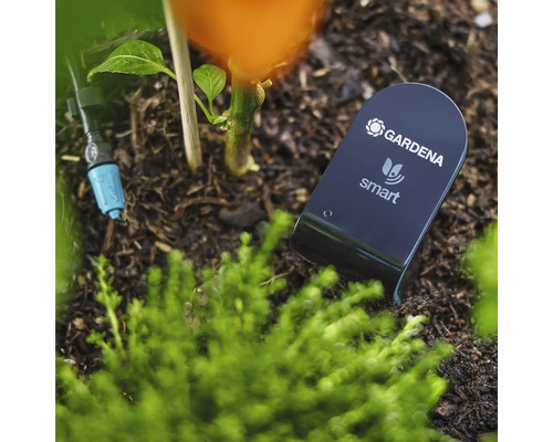 Senzor Gardena Smart v zahradním záhonu pro měření vlhkosti půdy