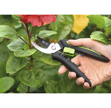 Zahradní nůžky používané na rostlině