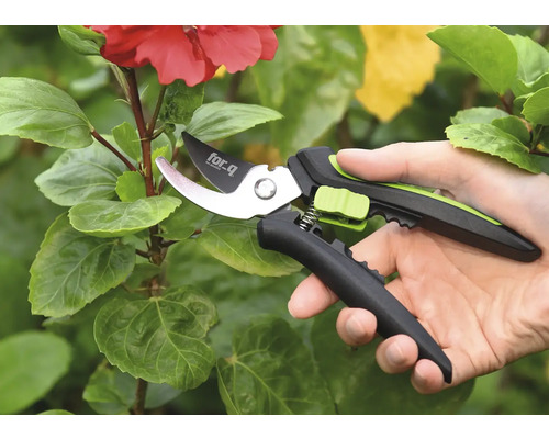 Zahradní nůžky používané na rostlině