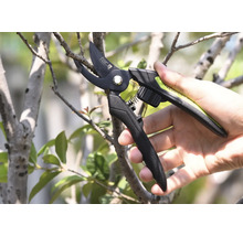 Zahradní nůžky stříhají větev