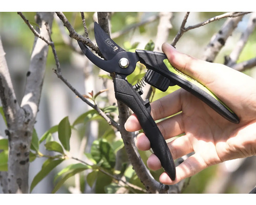 Zahradní nůžky stříhají větev