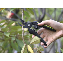 Ruka drží zahradní nůžky, které stříhají větev.