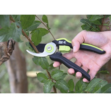 Ruka používá zahradní nůžky for_q na větvi.