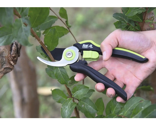 Ruka používá zahradní nůžky for_q na větvi.