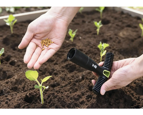 Jedna ruka drží semena nad záhonem, druhá ruka drží sazeč.