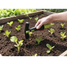 Zahradní scéna s nástrojem na setí semen v použití ve vyvýšeném záhonu s mladými rostlinami.