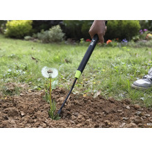 Detailní záběr osoby odstraňující pampelišku ze země pomocí vytrhávače plevele