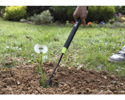 Detailní záběr osoby odstraňující pampelišku ze země pomocí vytrhávače plevele