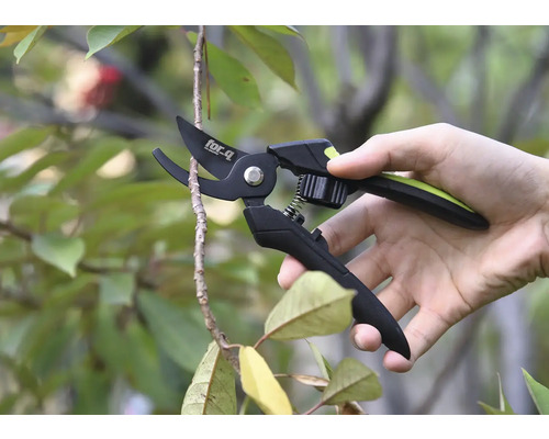 Zahradní nůžky stříhají větev