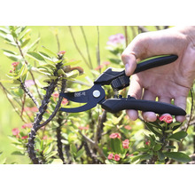 Zahradní nůžky stříhají trnitou větev