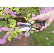 Zahradní nůžky stříhají rostlinu