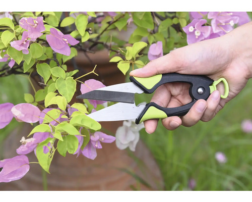 Zahradní nůžky stříhají rostlinu